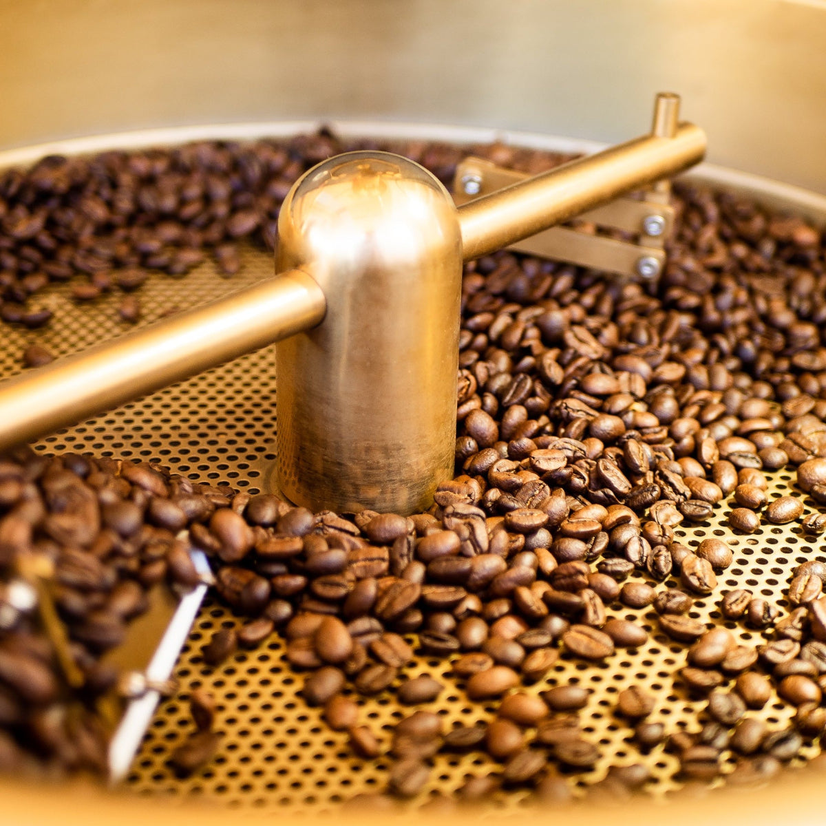 FOB Signature Espresso >