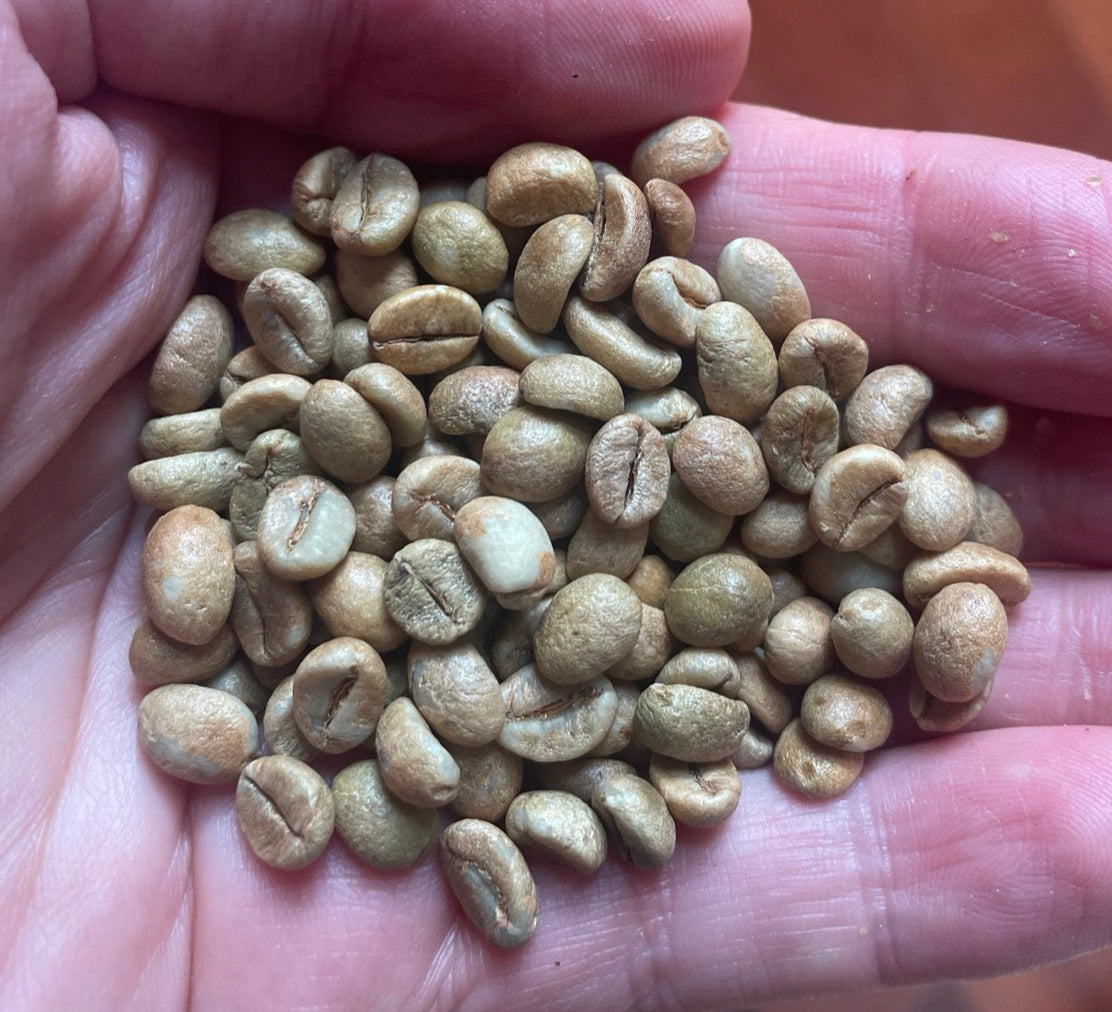 New Product - GIA LAI Vietnam (Fine) Robusta