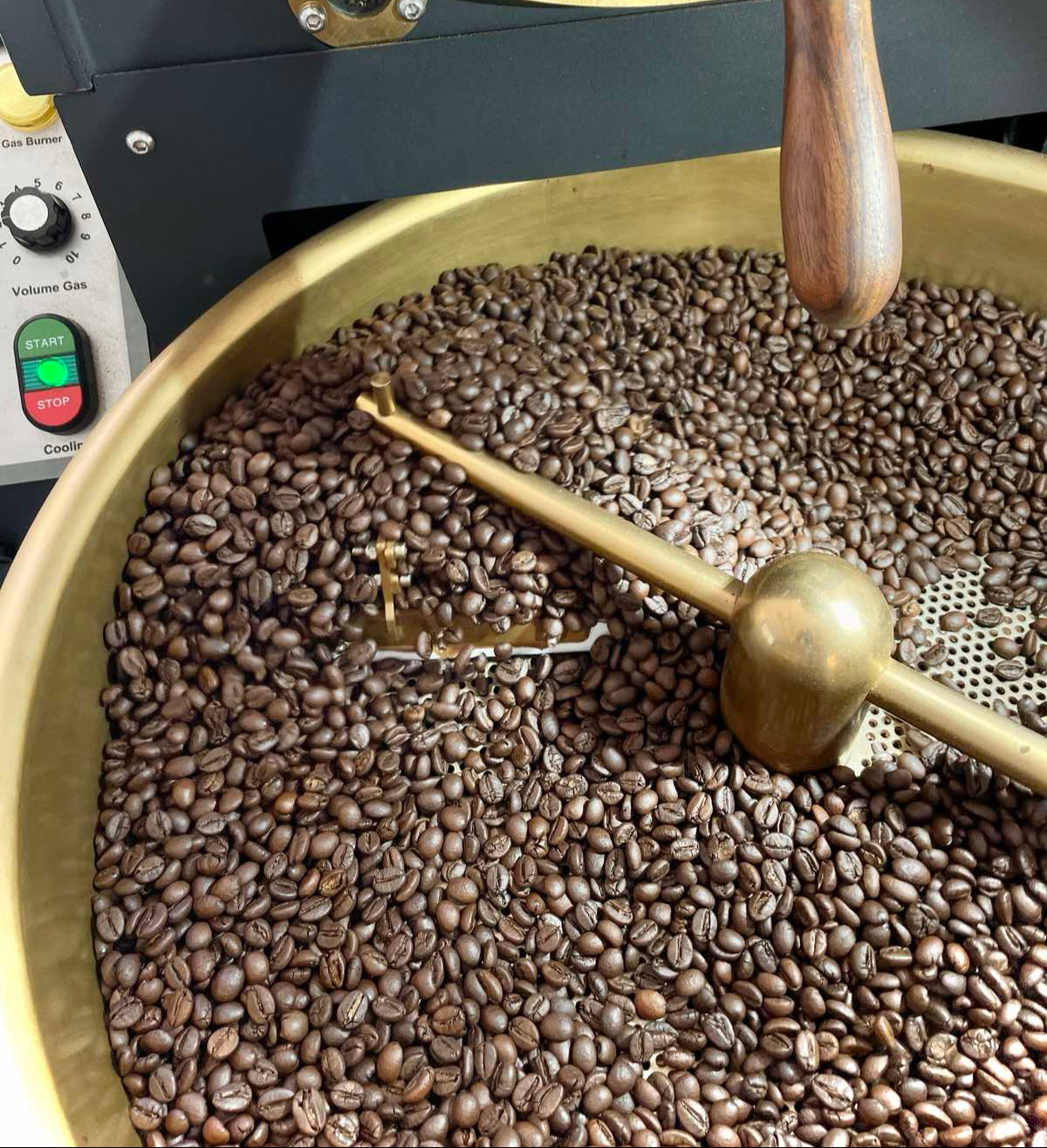 New Product - GIA LAI Vietnam (Fine) Robusta