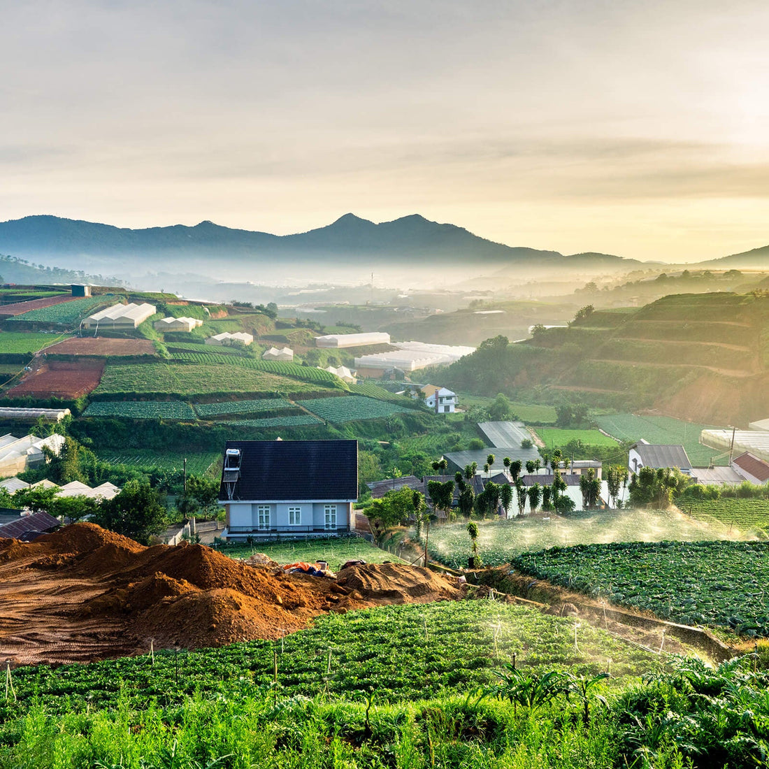Buon Ma Thuot- Vietnam's Coffee Capital