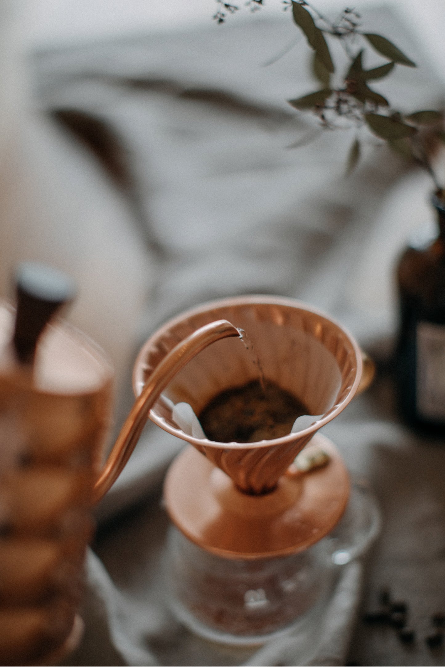 Sole Origin- Papua New Guinea Arabica