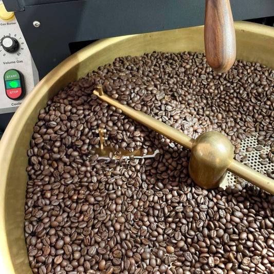 GIA LAI Vietnam (Fine grade) Robusta